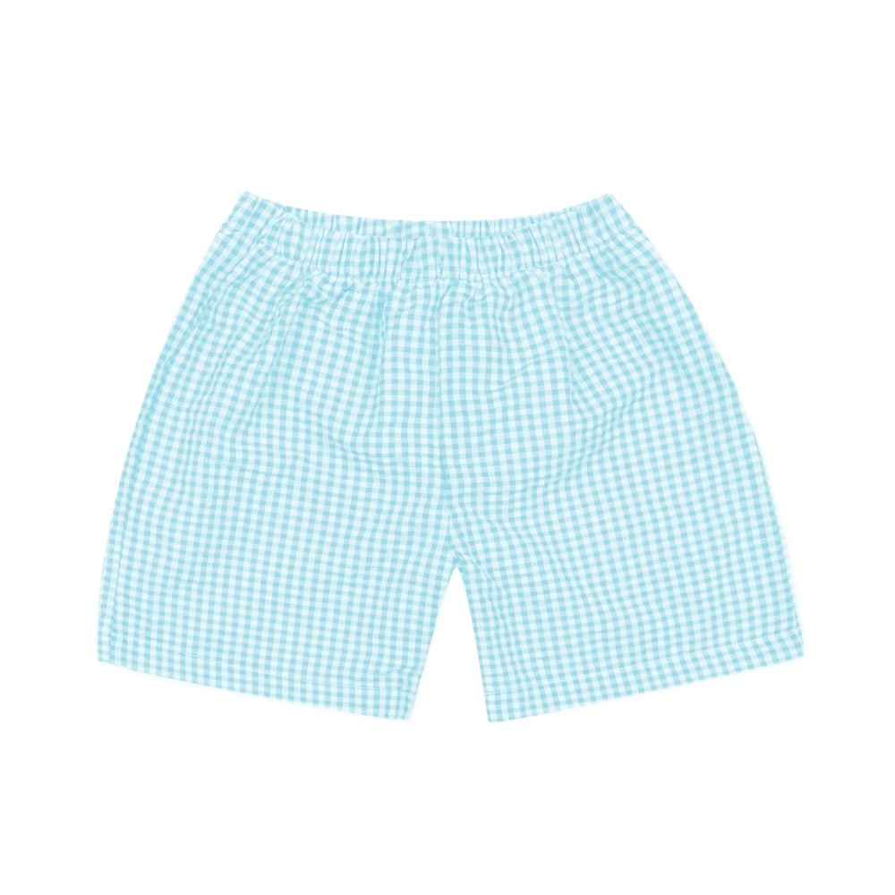 Aqua Gingham