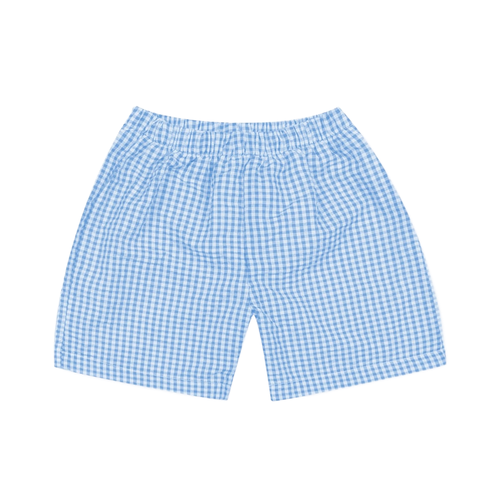 Blue Gingham