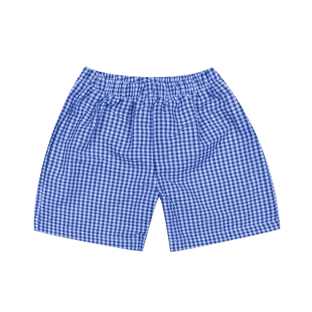 Navy Gingham